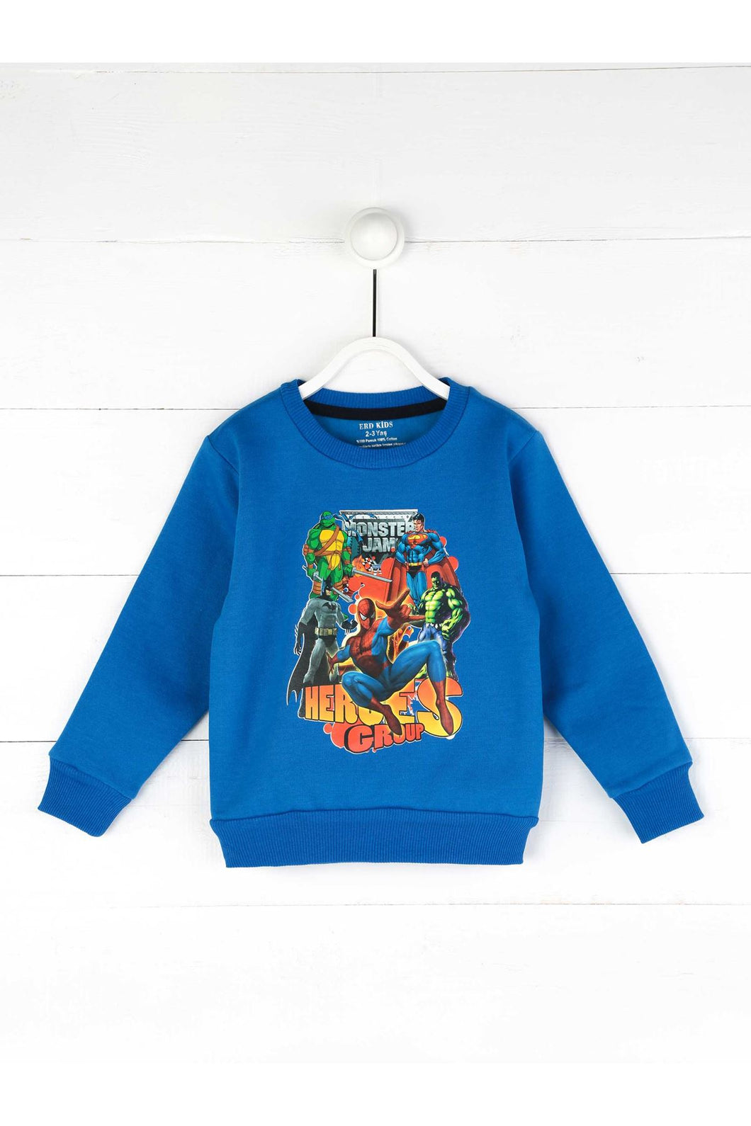 Boy's Printed Blue Seasonal Sweatshirt